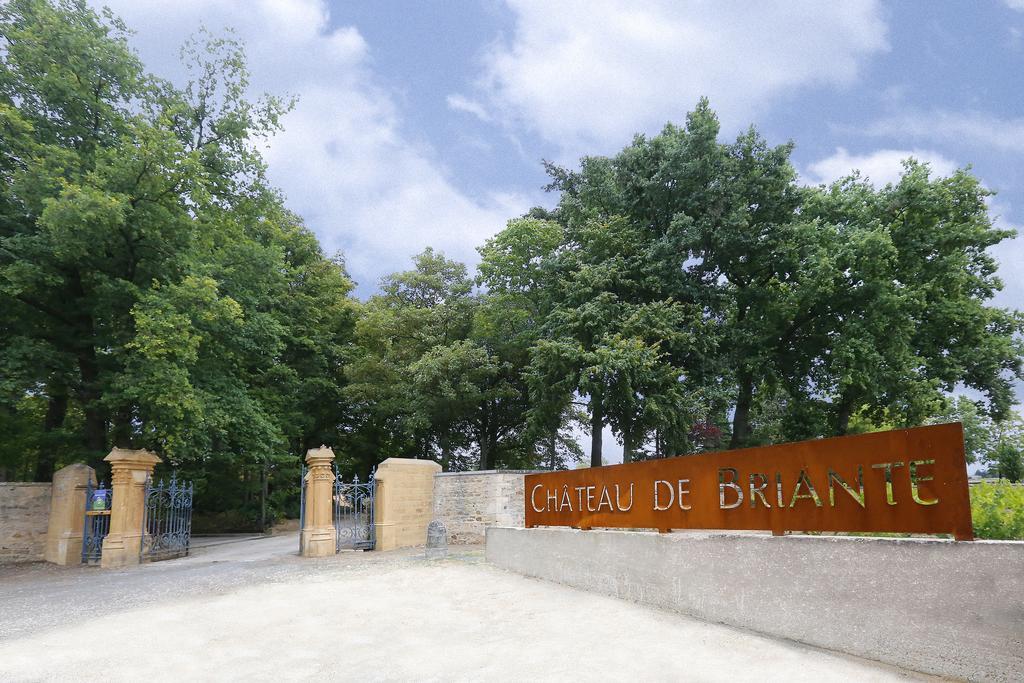 Saint-Lager Chateau De Briante المظهر الخارجي الصورة